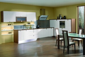 Contemporary Kitchen Contemporary Kitchen European Kitchen Design